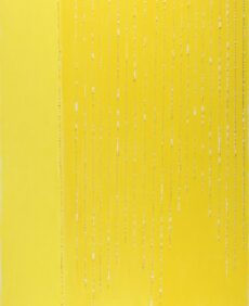 C18-12-10 - Pastel à l’écu sur papier coton déchiré 64:49,5 cm - 2019, collection Privée Arles